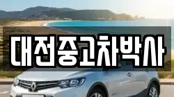 대전중고차박사