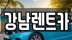대전 동구 소제동 렌트카,단기렌트카,장기렌트카,중고차,중고차매매,중고차매입