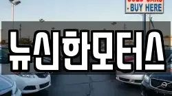 뉴신한모터스