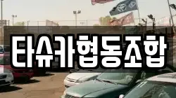 타슈카협동조합