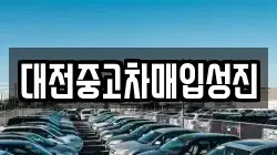 대전중고차매입성진