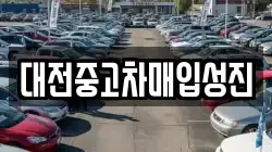 대전중고차매입성진