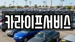카라이프서비스
