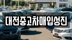 대전중고차매입성진