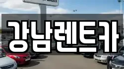 대전 서구 오동 렌트카,단기렌트카,장기렌트카,중고차,중고차매매,중고차매입