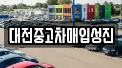 대전중고차매입성진
