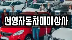 선영자동차매매상사