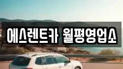에스렌트카 월평영업소