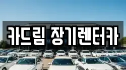 카드림 장기렌터카