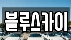 블루스카이