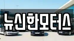 뉴신한모터스