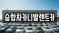 승합차카니발렌트카