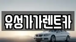 유성가가렌트카