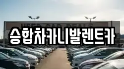 승합차카니발렌트카