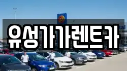 유성가가렌트카