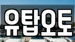 유탑오토