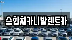 대전 유성구 도룡동 렌트카,단기렌트카,장기렌트카,중고차,중고차매매,중고차매입