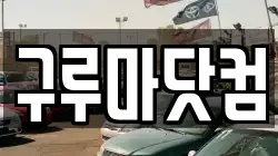 구루마닷컴