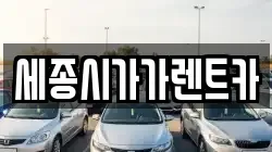 세종시가가렌트카