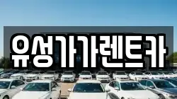 유성가가렌트카