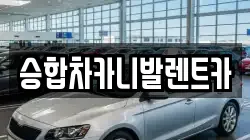 대전 유성구 신봉동 렌트카,단기렌트카,장기렌트카,중고차,중고차매매,중고차매입