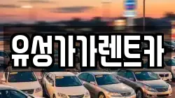 유성가가렌트카