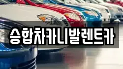승합차카니발렌트카