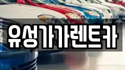 유성가가렌트카