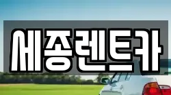 세종렌트카