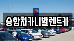 대전 유성구 자운동 렌트카,단기렌트카,장기렌트카,중고차,중고차매매,중고차매입
