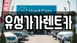 유성가가렌트카