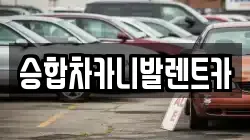 대전 유성구 장동 렌트카,단기렌트카,장기렌트카,중고차,중고차매매,중고차매입