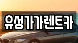 유성가가렌트카