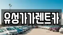 유성가가렌트카
