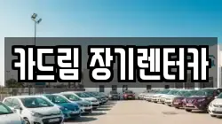 카드림 장기렌터카