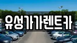 유성가가렌트카