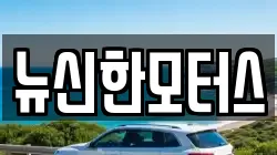 뉴신한모터스