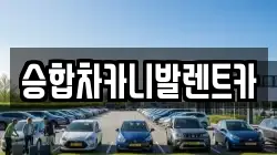 승합차카니발렌트카