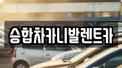 승합차카니발렌트카