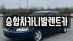 승합차카니발렌트카