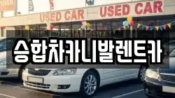 대전 중구 오류동 렌트카,단기렌트카,장기렌트카,중고차,중고차매매,중고차매입