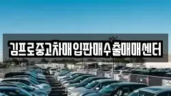 김프로중고차매입판매수출매매센터