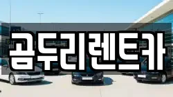 곰두리렌트카