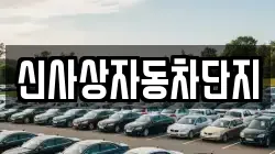 신사상자동차단지