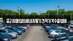 부산광역시 강서구 동선동 렌트카,단기렌트카,장기렌트카,중고차,중고차매매,중고차매입