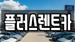 부산광역시 강서구 식만동 렌트카,단기렌트카,장기렌트카,중고차,중고차매매,중고차매입