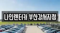 부산광역시 강서구 지사동 렌트카,단기렌트카,장기렌트카,중고차,중고차매매,중고차매입