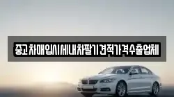 부산광역시 강서구 천성동 렌트카,단기렌트카,장기렌트카,중고차,중고차매매,중고차매입