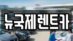 뉴국제렌트카