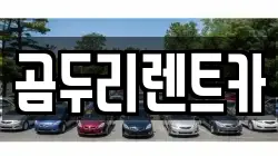 부산광역시 금정구 두구동 렌트카,단기렌트카,장기렌트카,중고차,중고차매매,중고차매입